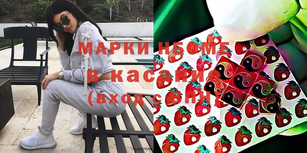 ГАЛЛЮЦИНОГЕННЫЕ ГРИБЫ Ельня