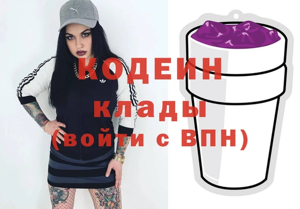 ГАЛЛЮЦИНОГЕННЫЕ ГРИБЫ Ельня
