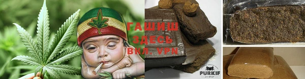 ГАЛЛЮЦИНОГЕННЫЕ ГРИБЫ Ельня
