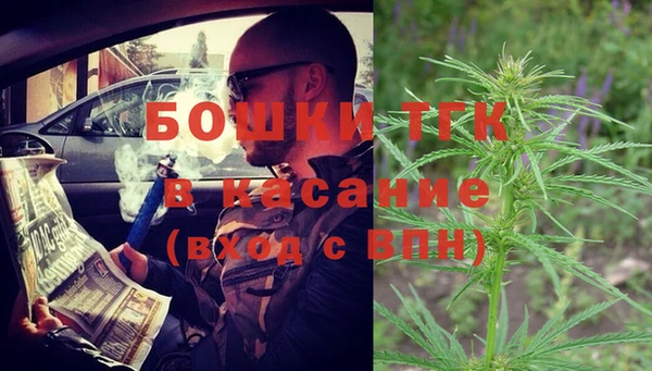 ГАЛЛЮЦИНОГЕННЫЕ ГРИБЫ Ельня