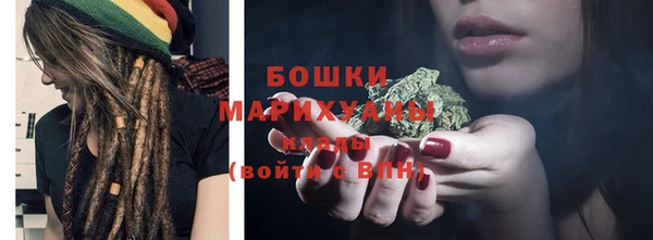 ALPHA PVP Елизово
