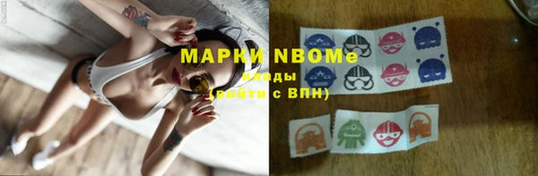 ГАЛЛЮЦИНОГЕННЫЕ ГРИБЫ Ельня