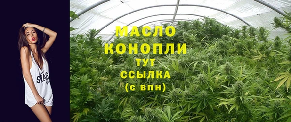 ГАЛЛЮЦИНОГЕННЫЕ ГРИБЫ Ельня
