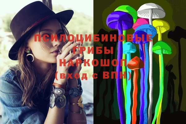 ГАЛЛЮЦИНОГЕННЫЕ ГРИБЫ Ельня