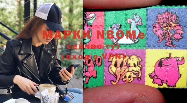 ГАЛЛЮЦИНОГЕННЫЕ ГРИБЫ Ельня