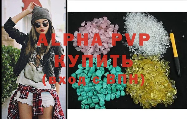 ГАЛЛЮЦИНОГЕННЫЕ ГРИБЫ Ельня