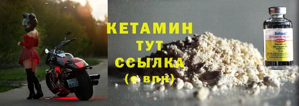 ГАЛЛЮЦИНОГЕННЫЕ ГРИБЫ Ельня