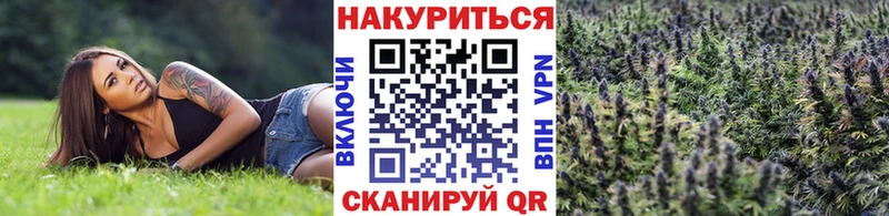Купить  Рудня  Бошки марихуана THC 21% 